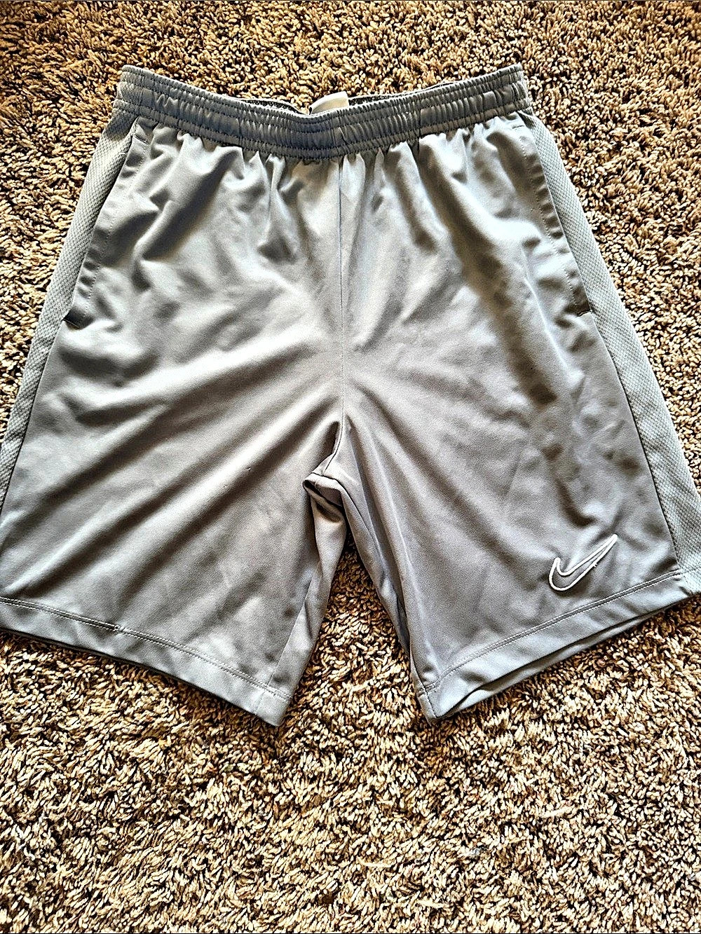 Nike Dri-FIT Training Shorts Athletic Gray Large